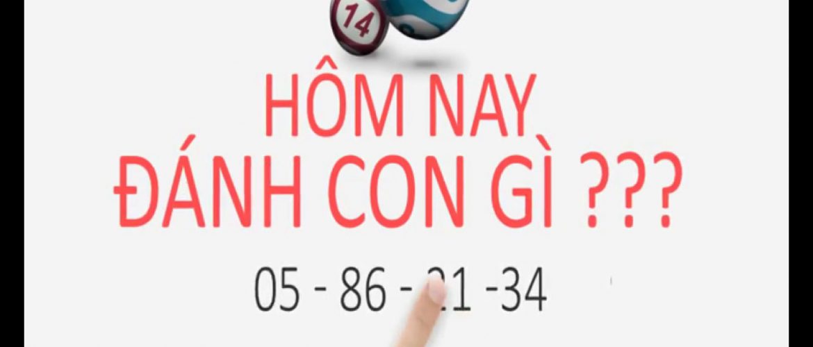 Hôm nay đánh con gì đẹp nhất? Cách đánh lô đề Miền Bắc chuẩn xác