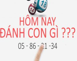 Hôm nay đánh con gì đẹp nhất? Cách đánh lô đề Miền Bắc chuẩn xác